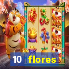 10 flores silvestres da regi o sudeste